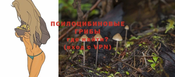 не бодяженный Каменск-Шахтинский