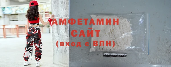 МДПВ Каменка