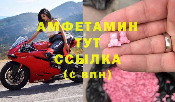 МДПВ Каменка