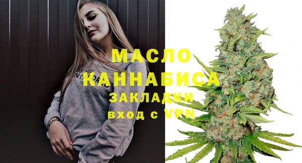 МДПВ Каменка
