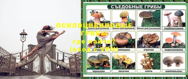 МДПВ Каменка
