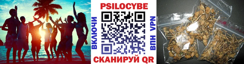 Псилоцибиновые грибы Psilocybine cubensis  Купить где  Вязьма 